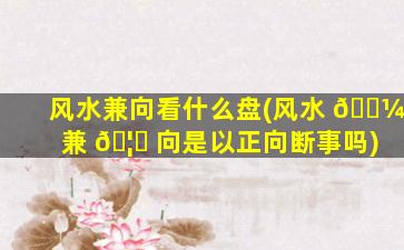 风水兼向看什么盘(风水 🐼 兼 🦋 向是以正向断事吗)